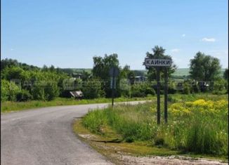Продажа земельного участка, 20 сот., деревня Каинки, Центральная улица