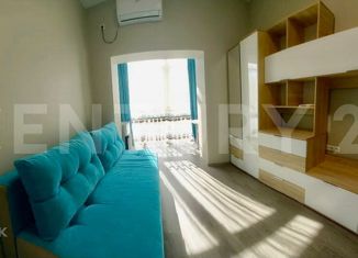 Продажа 1-ком. квартиры, 17.8 м2, село Осипенко, Качинское шоссе, 33/1