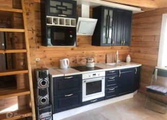 Сдается дом, 60 м2, посёлок Сосновка, Центральная улица, 14