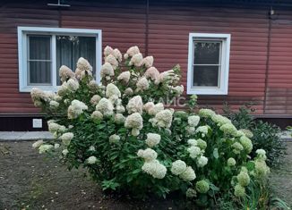 Продаю дом, 100 м2, посёлок Лесное, Лесная улица, 14
