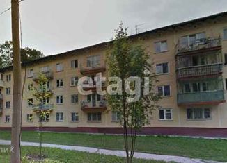 Продается двухкомнатная квартира, 44 м2, Новосибирск, Цветной проезд, 1, Цветной проезд