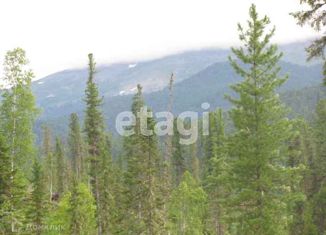 Участок на продажу, 600 сот., село Турочак