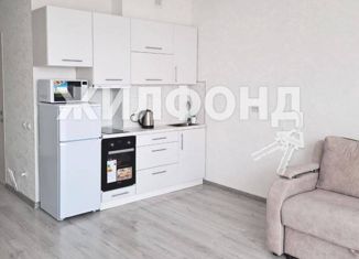 Продается квартира студия, 26 м2, Новосибирск, Рябиновая улица, 14/1, Рябиновая улица