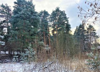 Продаю земельный участок, 31.1 сот., рабочий посёлок Обухово