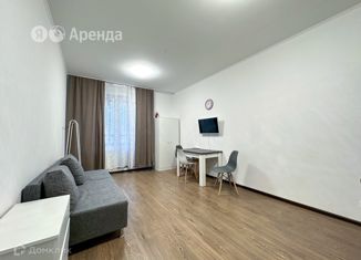 Квартира в аренду студия, 24 м2, Санкт-Петербург, Комендантский проспект, 64к1, муниципальный округ Коломяги