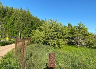 Продается земельный участок, 20 сот., деревня Замошье