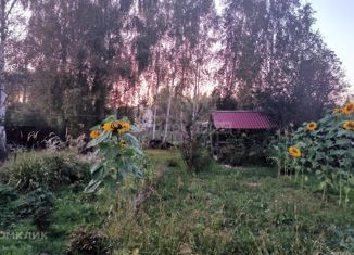 Продам дом, 24 м2, деревня Поляна