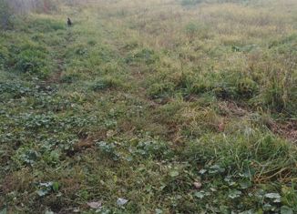 Продам земельный участок, 15 сот., деревня Глиньково, Лесная улица, 21А