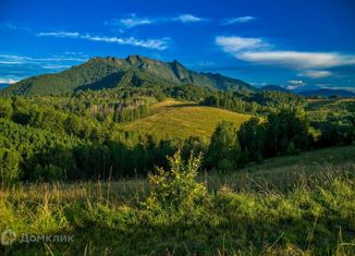 Участок на продажу, 3101 сот., село Турочак