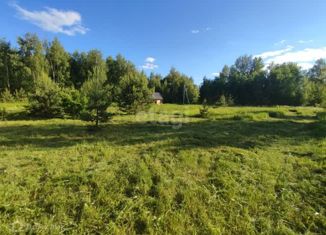 Продается земельный участок, 12 сот., деревня Бор, деревня Бор, 45А