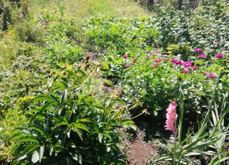 Земельный участок на продажу, 30 сот., село Юмагузино