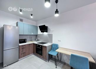 Аренда 1-комнатной квартиры, 34 м2, село Клёново, СНТ Мечта, 25