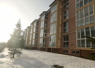 Продается квартира студия, 31.6 м2, деревня Кабицыно, микрорайон Молодёжный, 9