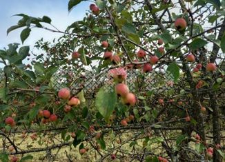 Продам земельный участок, 15 сот., деревня Хемалда