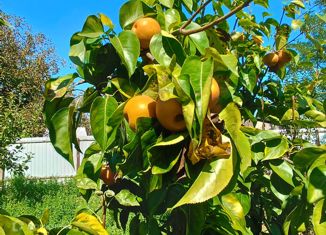 Продается участок, 9 сот., станица Мингрельская, Советская улица