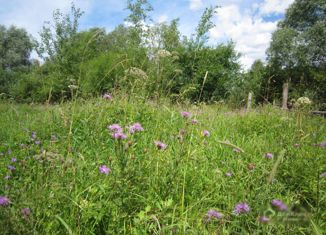 Продается земельный участок, 16.5 сот., деревня Горбасьево, Ключевая улица, 8