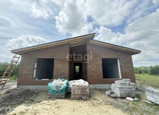 Продаю дом, 95 м2, село Озёрки