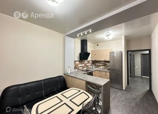 Сдается 1-ком. квартира, 60 м2, Краснодар, Березанская улица, 41, ЖК Дом на Березанской