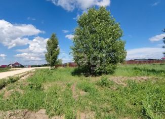 Продам участок, 10 сот., деревня Тойкино