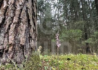 Продажа участка, 35 сот., деревня Жуковка, Берёзовая улица