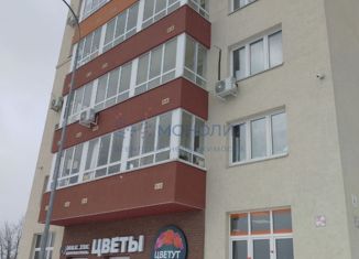 Продам 2-комнатную квартиру, 51.7 м2, Нижний Новгород, улица Академика Сахарова, 117к2, метро Заречная