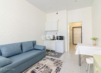 Квартира в аренду студия, 28 м2, Анапа, улица Ленина, 202к2