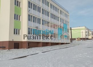 Квартира на продажу студия, 22 м2, сельский посёлок Новинки, улица Студгородок, 21, ЖК Лайм 2