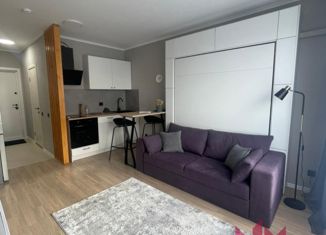 Квартира на продажу студия, 22.4 м2, Москва, Боровское шоссе, 2к7, ЖК Мещерский Лес