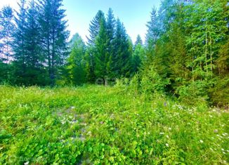 Участок на продажу, 12 сот., посёлок Черноисточинск, улица Ушкова