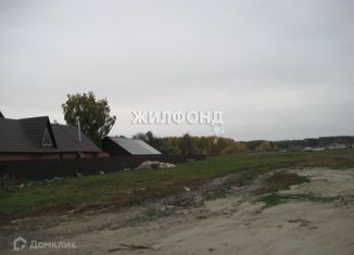 Продам участок, 10.42 сот., село Красный Яр, Советская улица