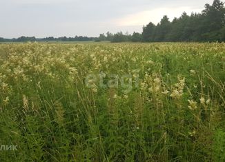 Земельный участок на продажу, 6.3 сот., поселок Владимировка, Рижская улица