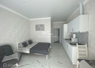 Продажа квартиры студии, 22.8 м2, Горячий Ключ, Санаторная улица, 13
