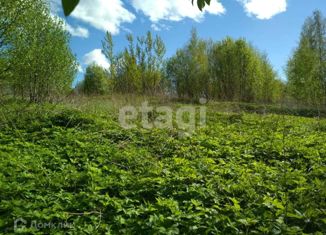 Продаю земельный участок, 16 сот., деревня Палкино