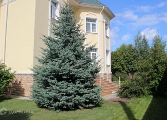 Продам дом, 560 м2, деревня Лызлово, деревня Лызлово, 19А