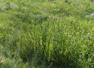 Земельный участок на продажу, 12 сот., деревня Левино