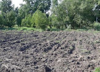 Продаю земельный участок, 6 сот., посёлок Рассвет, Сливовая улица