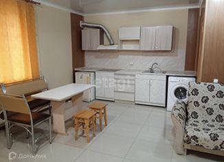 Сдаю в аренду однокомнатную квартиру, 28 м2, посёлок городского типа Комсомольское, Зелёная улица, 25