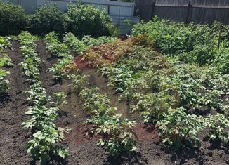 Продажа дома, 60 м2, СНТ Ивушка, Сиреневая улица, 232