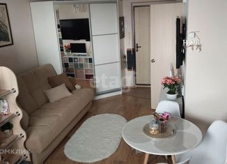 Продаю квартиру студию, 28.7 м2, микрорайон Вишнёвая Горка, Олимпийская улица, 5