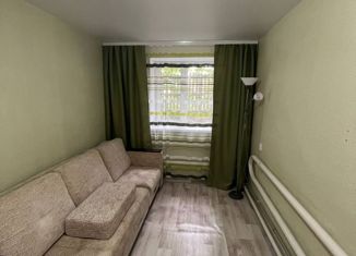 1-ком. квартира на продажу, 18.6 м2, Бор, улица Ванеева, 153