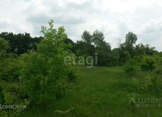 Участок на продажу, 24 сот., село Гостищево