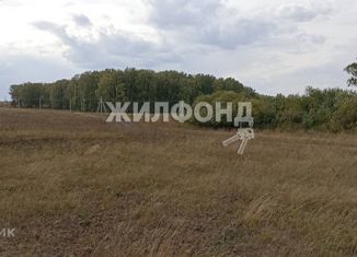 Земельный участок на продажу, 10 сот., деревня Алексеевка