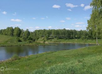 Продается участок, 37 сот., деревня Холмы, Лесная улица, 18