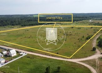 Продается участок, 560 сот., деревня Лисенки