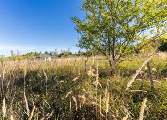 Продается земельный участок, 8 сот., село Новая Беденьга, Прохладная улица, 28