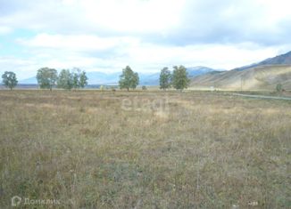 Продается участок, 1548.8 сот., село Чендек, Зелёная улица