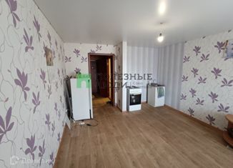 Квартира на продажу студия, 25.3 м2, деревня Хохряки, Тепличная улица, 32