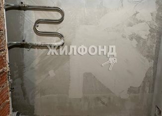 Продажа квартиры студии, 27.6 м2, Новосибирск, Светлановская улица, 52/1, ЖК Чкалов