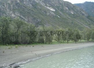 Продается участок, 730 сот., село Куюс