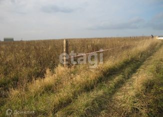 Продам земельный участок, 12 сот., село Новоселебное, Советская улица